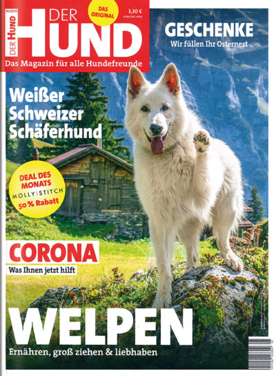 Der Hund im Lesezirkel mieten statt kaufen