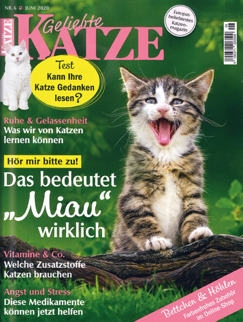 Geliebte Katze im Lesezirkel mieten statt kaufen