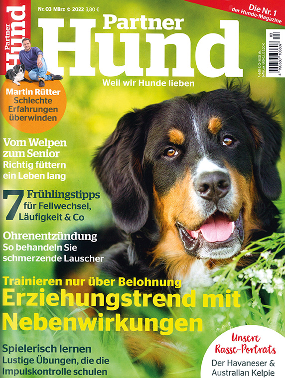 Partner Hund im Lesezirkel mieten statt kaufen